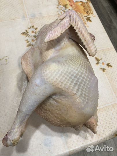 Суповая курочка