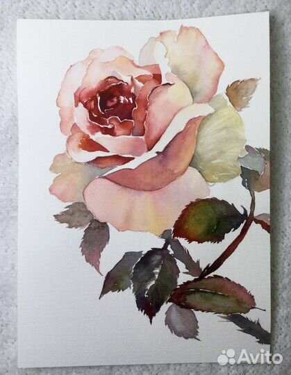Картина акварель цветы «Роза»