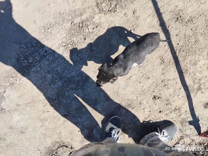 Малыш на стройке