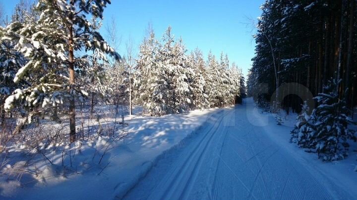 Участок 8 сот. (СНТ, ДНП)