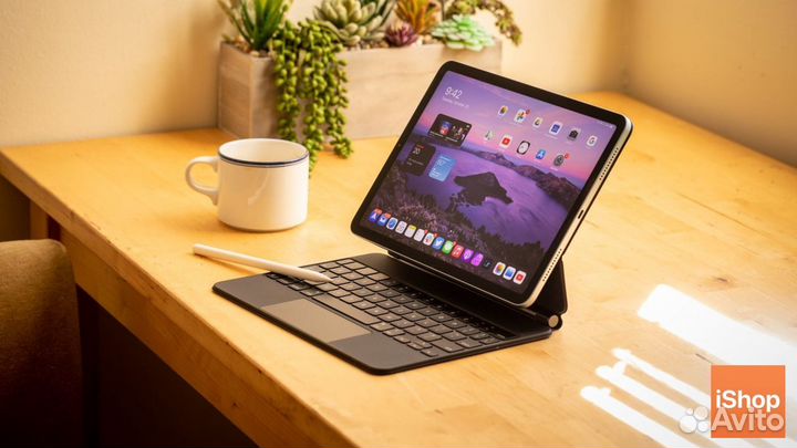 iPad (все модели)