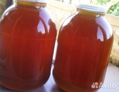 Мед боярышниковый оптом