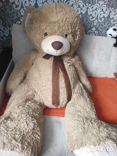 Плюшевый медведь
