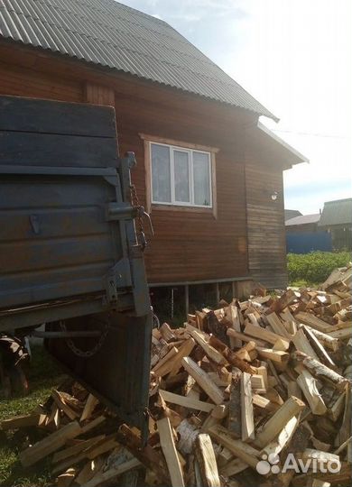 Дрова береза