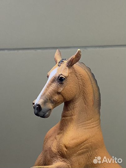 Ганновер кобыла