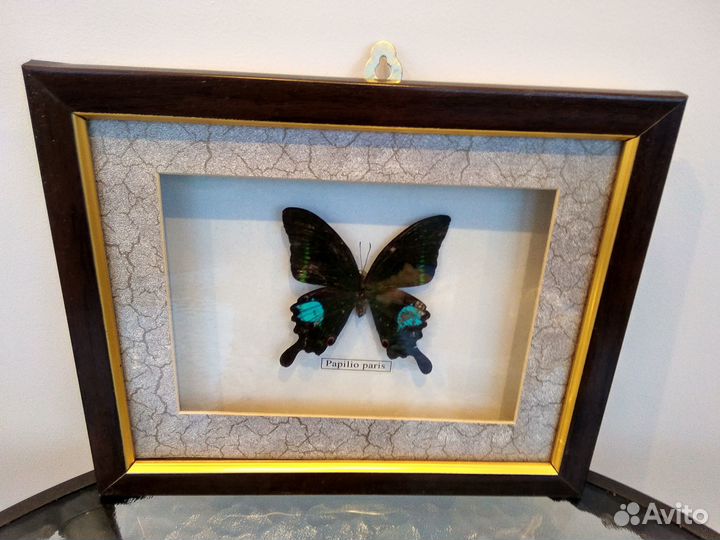 Разное: картины,ракушки, фигурки,колокольчик