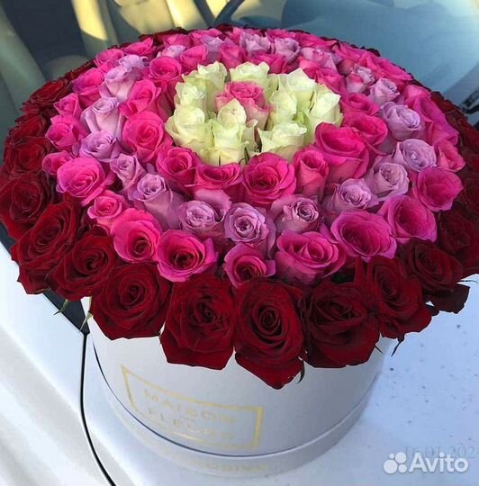 Роза Эквадор