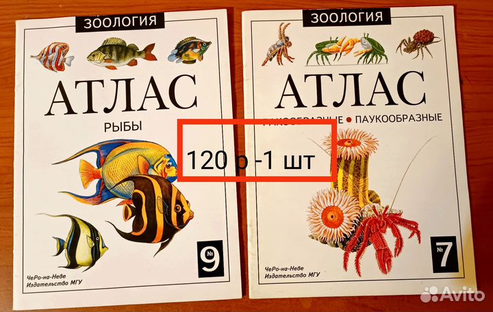 Учебники