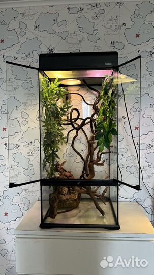 Террариум палюдариум Exo-terra для хамелеона
