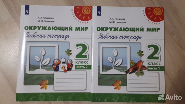 Рабочие тетради 2 класс