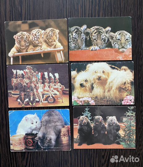 Календари карманные СССР, серия Цирк