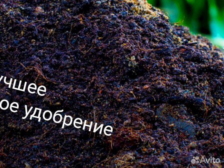 Земля плодородная