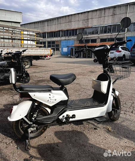 Электросамокат двухместный