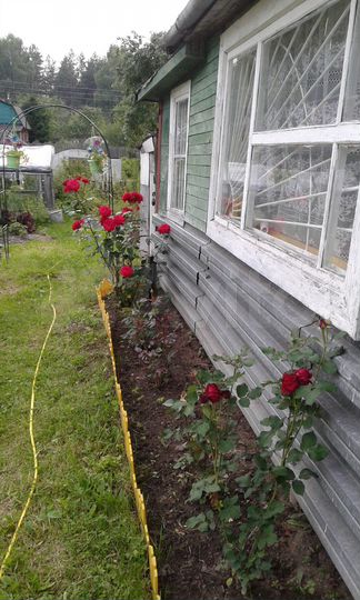 Участок 6,2 сот. (СНТ, ДНП)