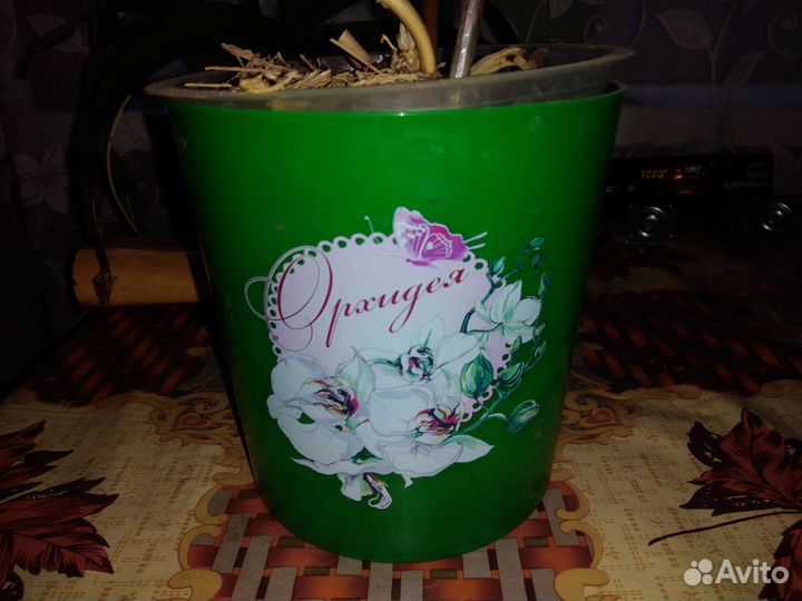 Керамические горшки и для орхидей