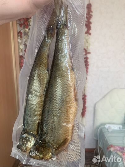 Горячее копчение, свежий вкус: селедка Олюторская