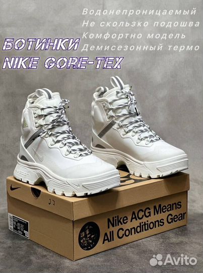 Nike ACG Zoom Gore-Tex (41)