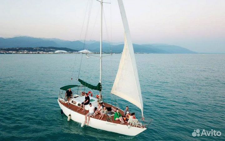 Морская прогулка к дельфинам на парусной яхте