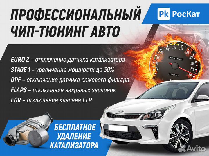 Чип-Тюнинг, прошивка, диагностика катализаторов