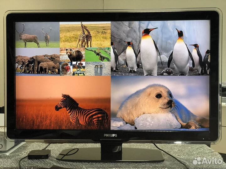 Телевизор philips 42