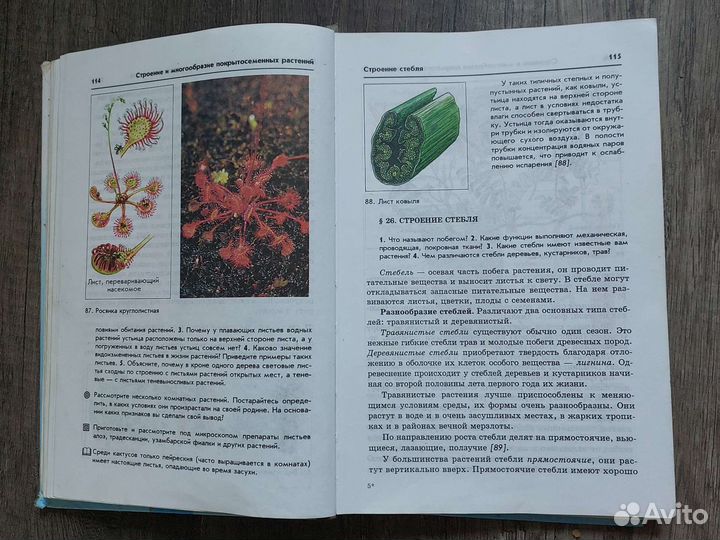 Учебник биология 6 класс пасечник