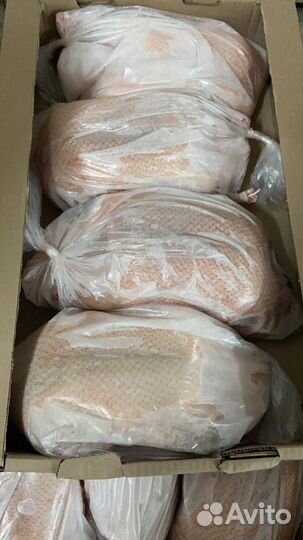 Домашнее мясо птицы