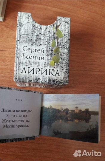 Книги-миниатюры