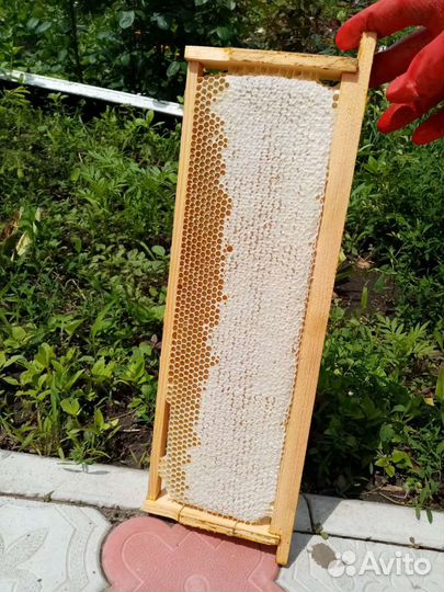 Мёд с личной пасеки