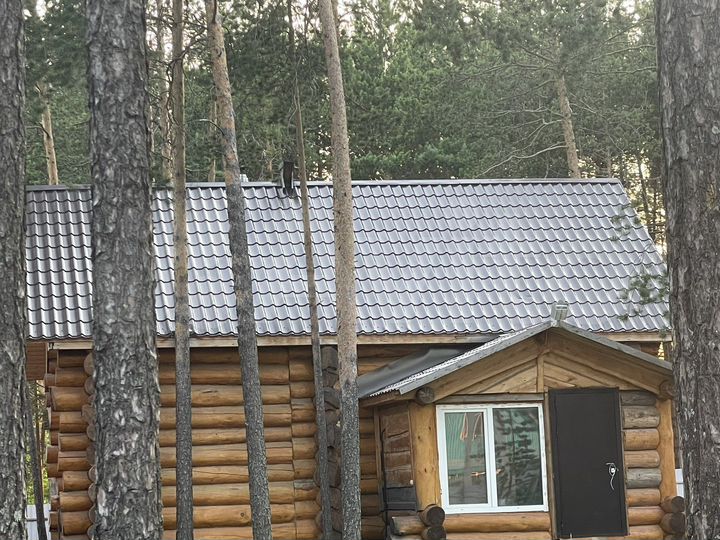 Дом 64 м² на участке 7 сот.