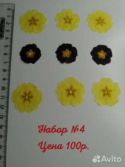 Сухоцветы для творчества