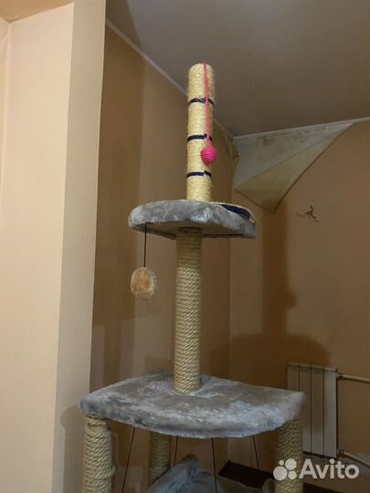 Когтеточка для кошек бу