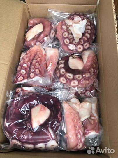 Крабы, креветки и ракушки