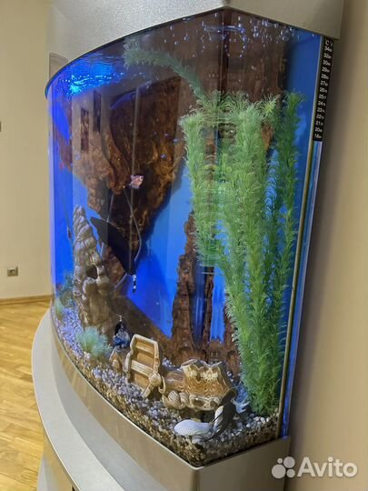 Акриловый аквариум