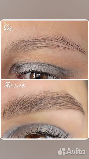 Мастер бровист