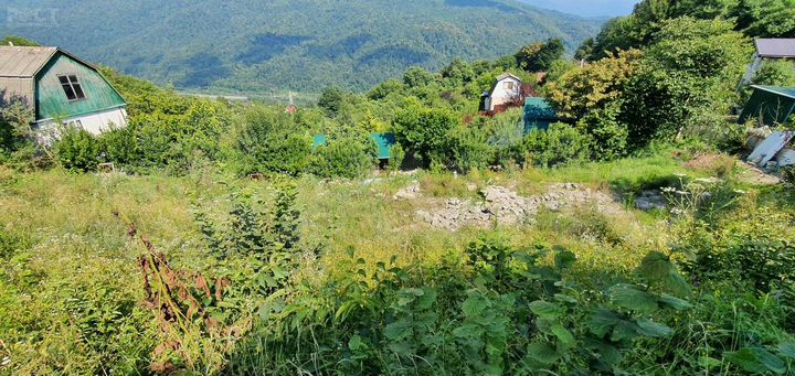 Участок 6,5 сот. (СНТ, ДНП)