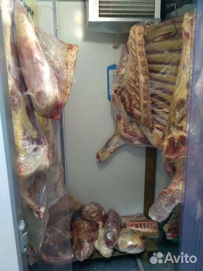 Холодильная камера + моноблок