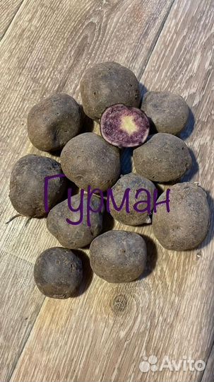 Цветной картофель на семена