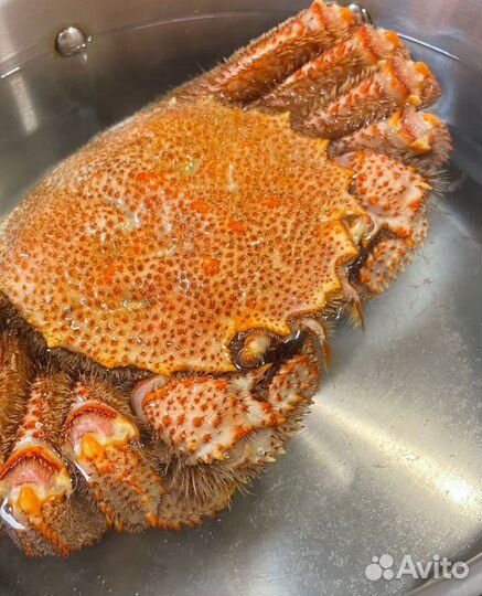 Рыба и морепродукты