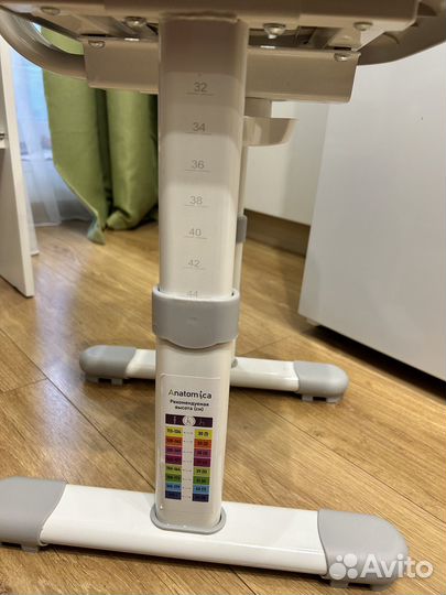 Растущий стул Anatomica grey