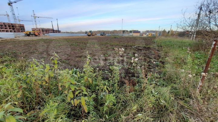 Участок 15 сот. (СНТ, ДНП)