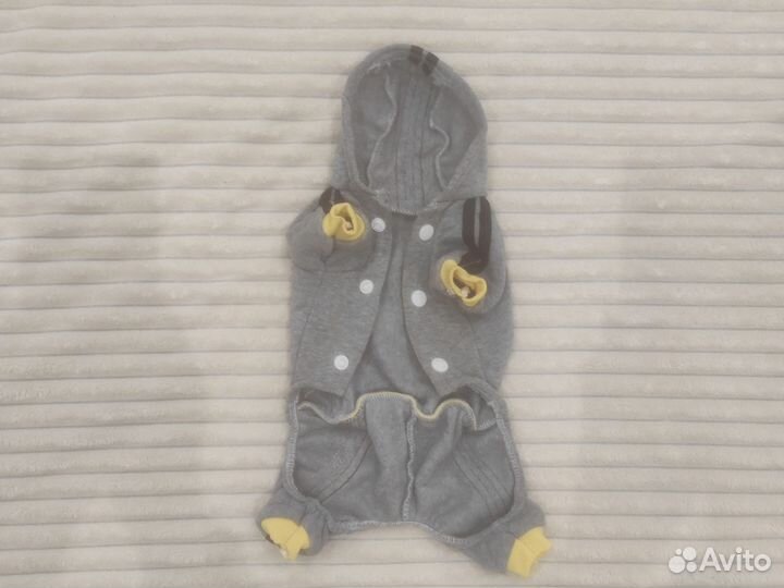Костюм для маленькой собаки
