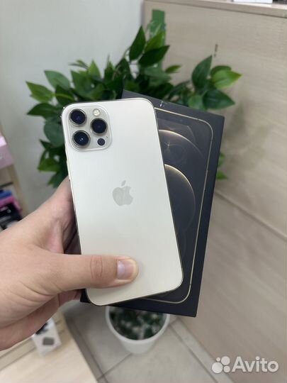 iPhone 12 Pro Max, 256 ГБ