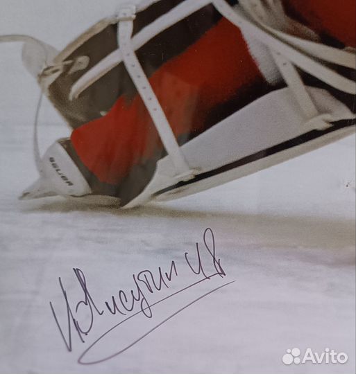 Плакат с автографом игроков хк витязь