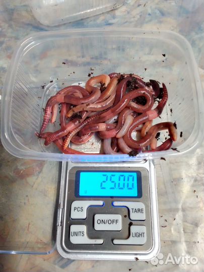 Биогумус в мешках удобрение для сада и огорода