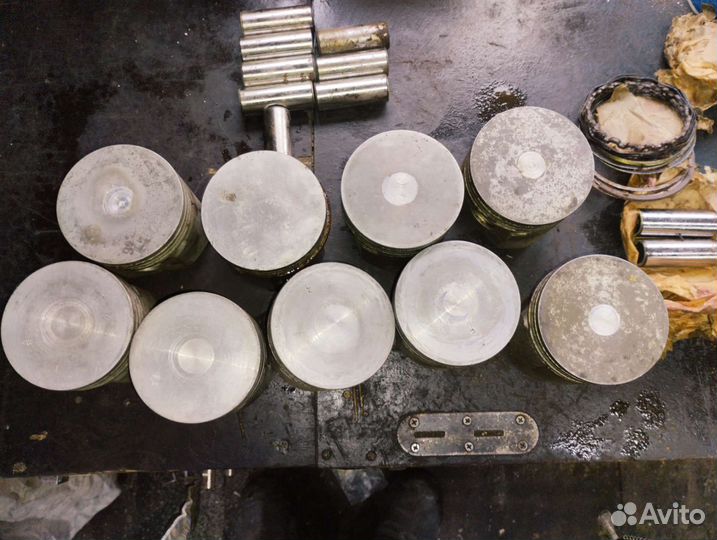 Поршни газ 53