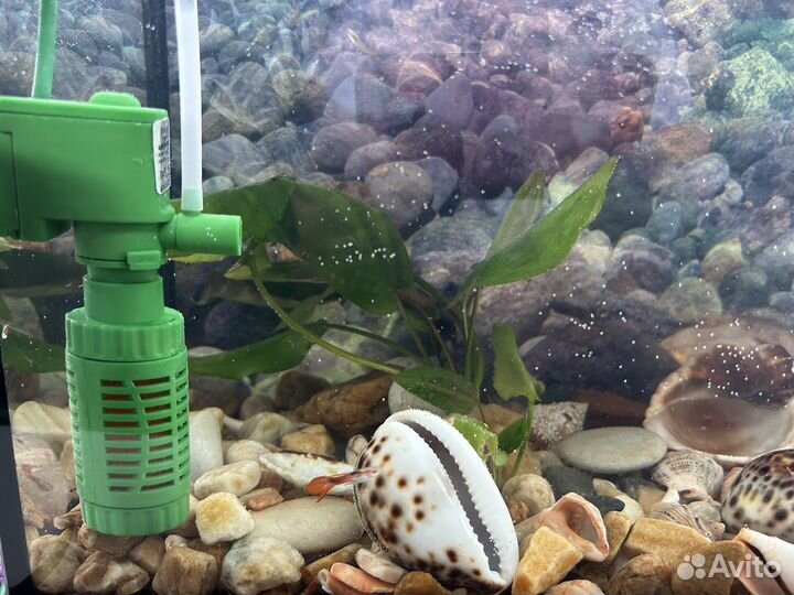 Аквариум с рыбками
