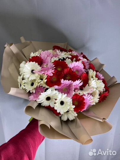 Букет из 85 гербер