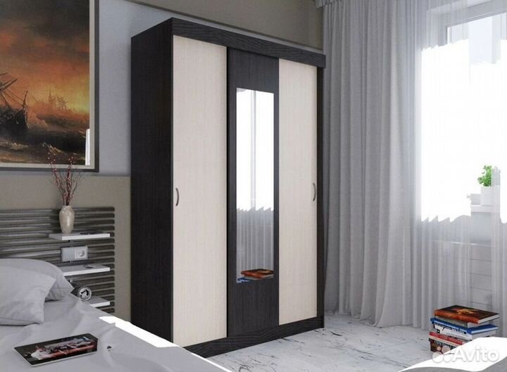 Шкаф-купе с зеркалом Бася