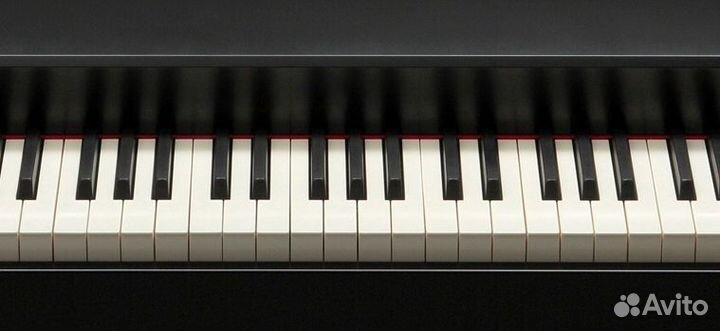 Настройщик фортепиано в Санкт-Петербурге