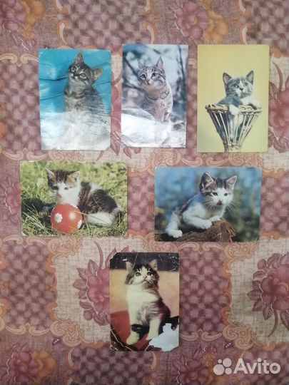 Кошки и разные открытки